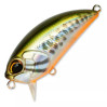 Воблер DUO Realis Crank 48SR.#N603