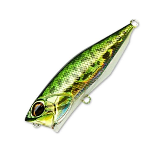 Воблер DUO Realis Popper 64 #D53