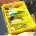 Коробка GC Reversible Worm Case RWC-1410F
