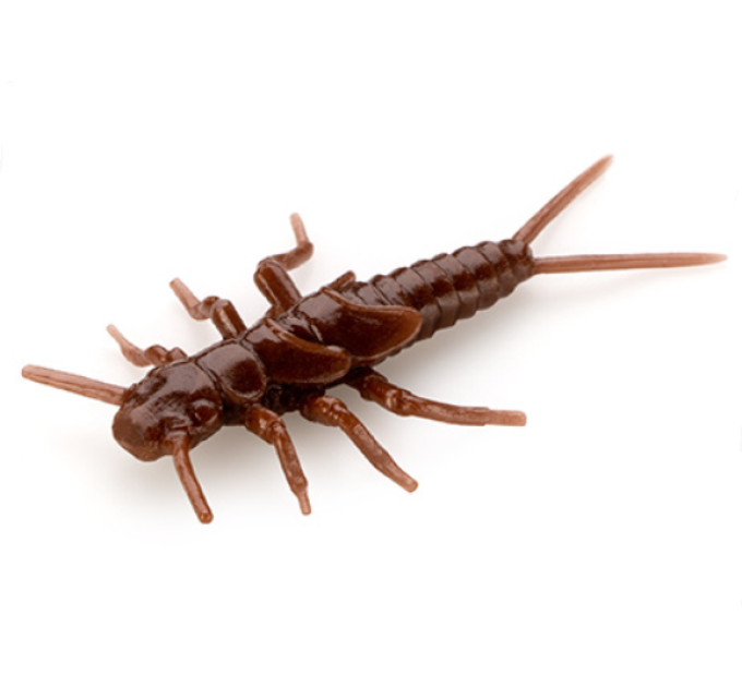 Силикон FishUp Stonefly 0.75" (12pcs.), #012 - Chaos