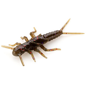 Силикон FishUp Stonefly 0.75" (12pcs.), #050 - Green Pumpkin Brown/Red & Purple
