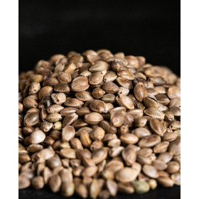 Зерносмесь CARPIO Hemp seeds dry / Зерно конопли сухое 0,9 кг