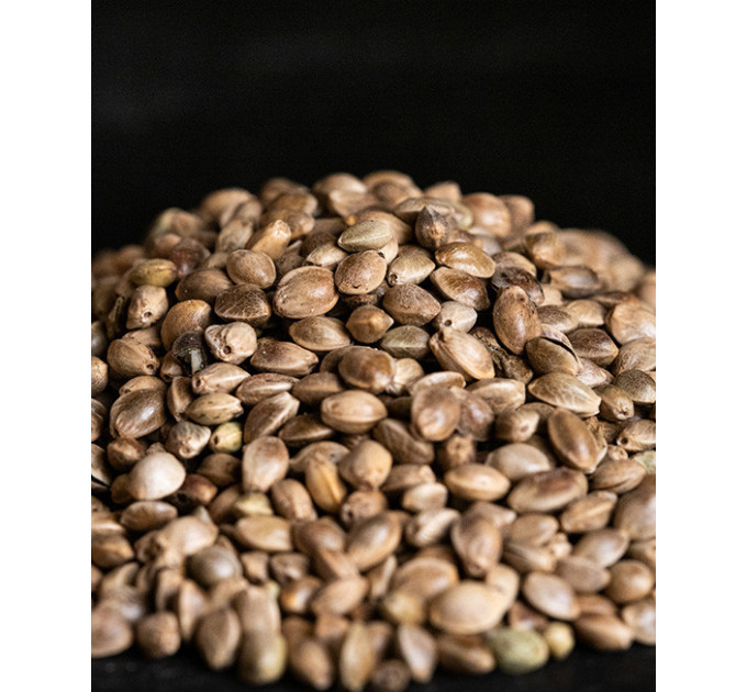Зерносуміш CARPIO Hemp seeds dry / Зерно коноплі сухе 0,9 кг