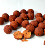 Бойлы Adder Carp Boilies Avid 16 mm 200 g Belachan