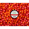 Puhach Baits Pop Ups 10 mm Multicolor - Strawberry