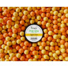 Puhach Baits Pop Ups 10 mm Multicolor - Tiger Nut