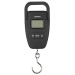Весы Brain Fishing Scales 50kg*10g
